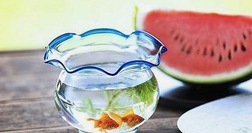 娱乐圈的“酱酒肉朋友”：友情与吃瓜背后的那些事儿