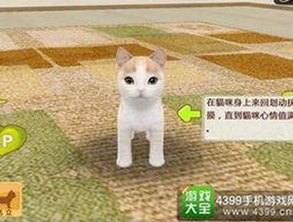 网红抖音爆料揭秘：娱乐圈幕后配音与吃瓜风潮全解析