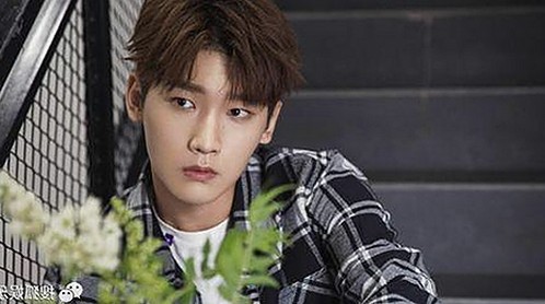 成都私密记录揭秘：兔兔与大学生的特殊体验