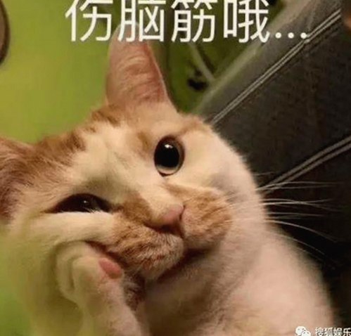 娱乐圈“月亮爱好者”酱喜提新动态，粉丝热议其私生活